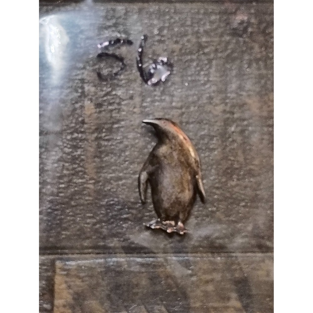 Penguin Pendant Charm Sterling Silver 925 Unisex Animal Jewelry Hollow Back